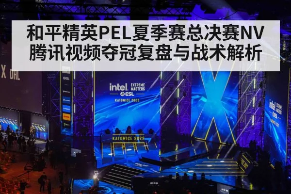和平精英PEL夏季赛总决赛NV腾讯视频夺冠复盘与战术解析